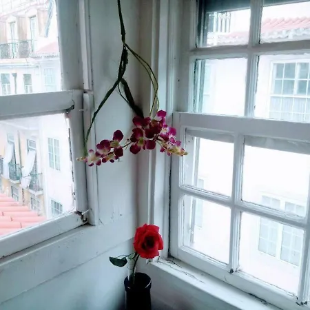 Bairro Alto Alternative Lisbon